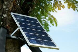 Solar panels mounted on trees to power the light bulbs that decorate the branches. soft and selective focus. photo