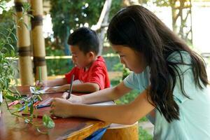 Asian children are happy to draw their imaginations and paint with crayons in their spare time at home during school holidays. Soft and selective focus. photo