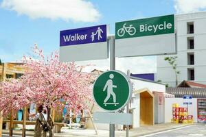 peatonal participación manos símbolo tráfico firmar medio peatonal carril. y el imagen de un bicicleta representa el bicicleta carril. fuera de registrarse punto elegante japonés estilo. suave y selectivo enfocar. foto