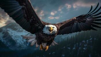 Majestic bird of prey soaring in nature tranquil winter beauty generated by AI photo