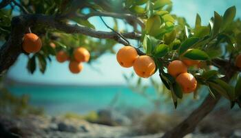 Freshness of summer, citrus fruit on tree, healthy eating in nature generated by AI photo