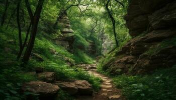 Tranquil scene of a tropical rainforest adventure generated by AI photo