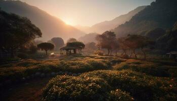 Mountain peak, tranquil meadow, sunrise, green foliage generated by AI photo