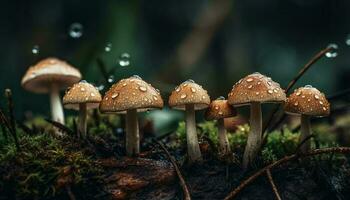 Spotted toadstool growth in wet autumn forest generated by AI photo