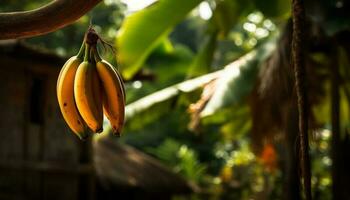 maduro bananas colgando desde un tropical árbol generado por ai foto