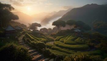 Sunrise over terraced rice fields in Sa Pa generated by AI photo