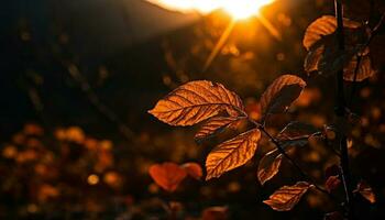 Vibrant autumn colors illuminate forest in sunlight generated by AI photo