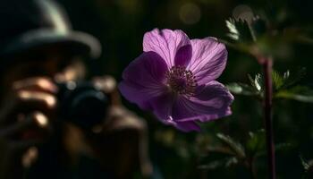 Selective focus on purple cosmos flower beauty generated by AI photo