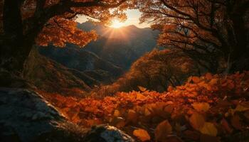 Tranquil autumn forest, vibrant colors, mountain peak sunrise generated by AI photo