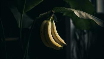 Ripe banana branch, fresh tropical snack food generated by AI photo