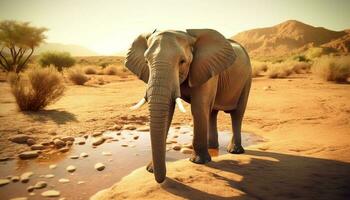 African elephant walking in the savannah heat generated by AI photo