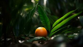 Ripe citrus fruit on green tree branch refreshes generated by AI photo