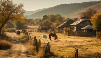 Western Ranch Stock Photos, Images and Backgrounds for Free Download