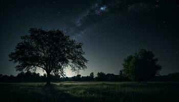 Silhouette of tree in starry night sky generated by AI photo