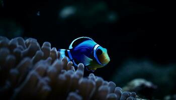 Clown fish in symbiotic relationship with coral generated by AI photo