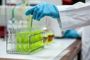 Hand of scientist putting test tube of sample solution to test tube rack. The sample solution prepared from plant extract is used for pharmaceutical and cosmetic product development. photo