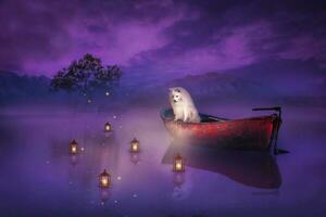 White fluffy dog Japanese Spitz Simba spends lilac evening with flashlights somewhere in China on the lake photo