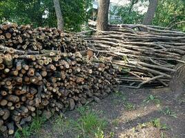 Log fence, log set, log decor, logs, sawn trees photo