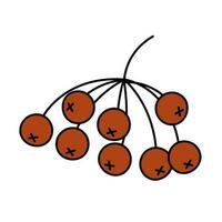 Retro groovy rowan tree branch with berries. Red ashberry in simple style. Cartoon isolated vector illustration