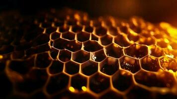 Dark honey comb background with golden photo