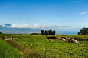 On Maui, Hawaii, there are farms that flank Haleakala Volcano. photo