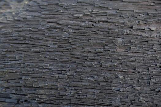 wood texture background burning and turning into wood charcoal. photo concept for forest burning, illegal logging causing climate change