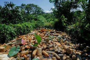 Piles of waste left over from plastic beverage bottles in ditches which cause water to clog and not flow can cause flooding photo