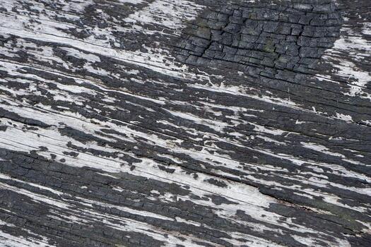 wood texture background burning and turning into wood charcoal. photo concept for forest burning, illegal logging causing climate change