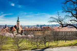 Praga ciudad visto desde el petrin jardines a el comenzando de primavera foto