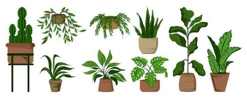 Potted leaf houseplants set vector illustration