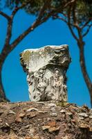 Remains of columns of the ancient buildings at the Roman Forum in Rome photo