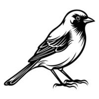 Finches silhouette, Finches mascot logo, Finches Black and White Animal Symbol Design, Bird icon. vector