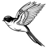 granero golondrina silueta, granero golondrina mascota logo, granero golondrina negro y blanco animal símbolo diseño, pájaro icono. vector