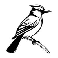Blue jay silhouette, Blue jay mascot logo, Blue jay Black and White Animal Symbol Design, Bird icon. vector