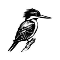 martín pescador pájaro silueta, martín pescador pájaro mascota logo, martín pescador pájaro negro y blanco animal símbolo diseño, pájaro icono. vector