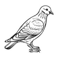 Pigeons silhouette, Pigeons mascot logo, Pigeons Black and White Animal Symbol Design, Bird icon. vector