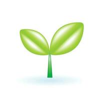 3D Sapling Seedling Sprout Plant Tree Icon. Eco Sustainability Environment Concept. Glossy Glass Plastic Color. Cute Realistic Cartoon Minimal Style. 3D Render Vector Icon UX UI Isolated Illustration