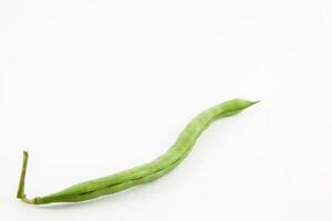 Green bean isolated in white background. Phaseolus vulgaris photo