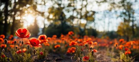 a blooming poppy in sharp focus. AI Generated photo