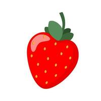 Natural strawberry. Fresh farm organic berry. Juicy sweet strawberries. Vector illustration.