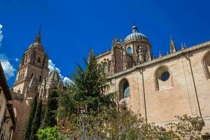 ver de el salamanca catedral desde el hermosa arcediano calle foto