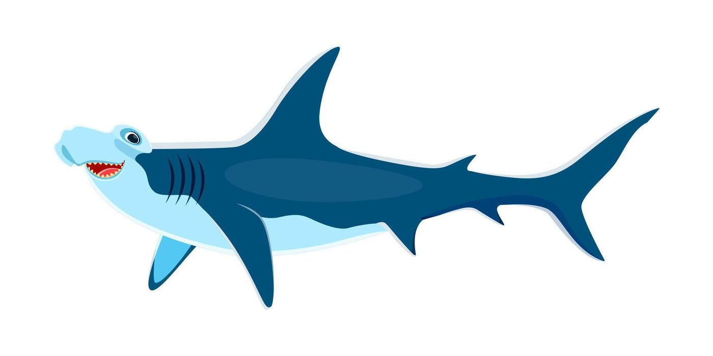 Hammerhead Shark Vector Art, Icons, and Graphics for Free Download