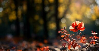 a blooming poppy in sharp focus. AI Generated photo