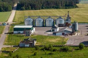 aéreo panorámico ver en agroindustrial complejo con silos y grano el secado línea para el secado limpieza y almacenamiento de cereal cultivos foto