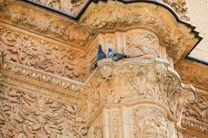 Detail of the beautiful facade of the historical building of the  University of Salamanca including the famous frog on top of a human skull photo