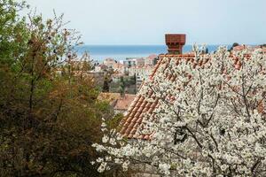 comenzando de primavera a Dubrovnik antiguo pueblo foto