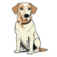 Labrador dog isolated on white background. Flat Vector illustration