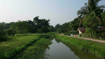 antenne Actie over- klein rivier- in de landelijk buitenshuis in de buurt olie palm plantage, penang, Maleisië video
