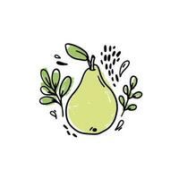 Vector hand drawn fruit with leaves and drops on a white background. Pear fruit hand drawn icon. Naive drawings composition.