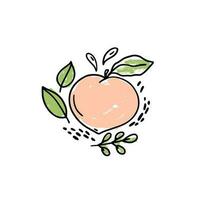 Vector hand drawn fruit with leaves and drops on a white background. Peach fruit hand drawn icon. Naive drawings composition.